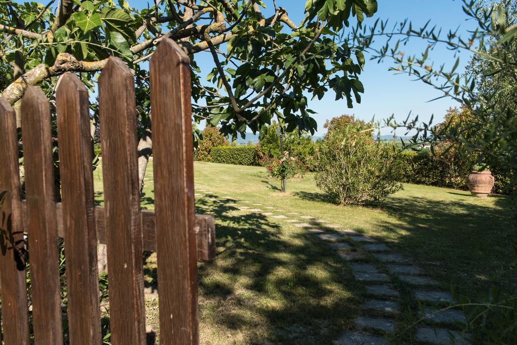 Agriturismo Podere Caggiolo - Swimming Pool & Air Conditioning Marciano della Chiana Exterior photo
